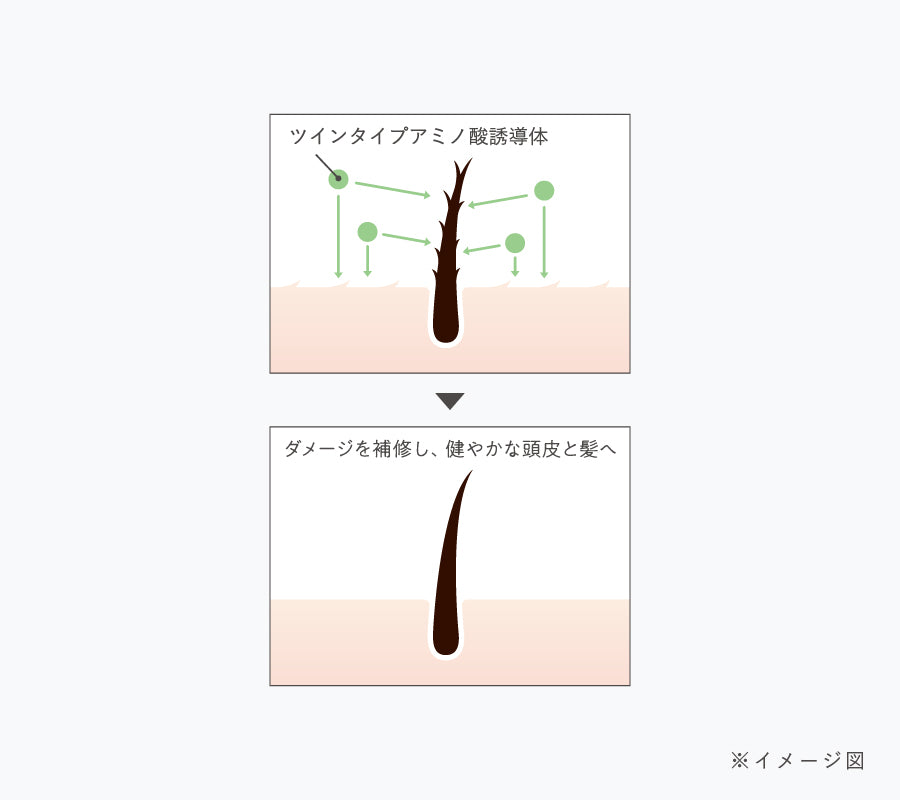 Off and Relax hair and scalp care illustration